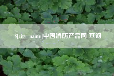 杭州中国消防产品网 查询