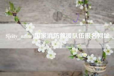 杭州国家消防救援队伍报名网址