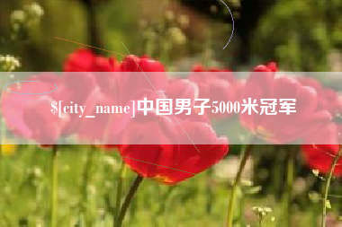 杭州中国男子5000米冠军