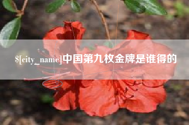 杭州中国第九枚金牌是谁得的