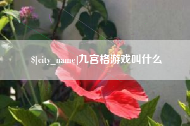 杭州九宫格游戏叫什么