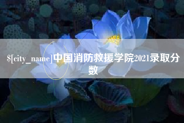 杭州中国消防救援学院2021录取分数