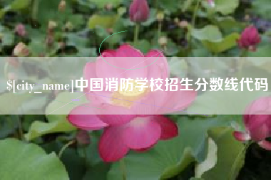 杭州中国消防学校招生分数线代码