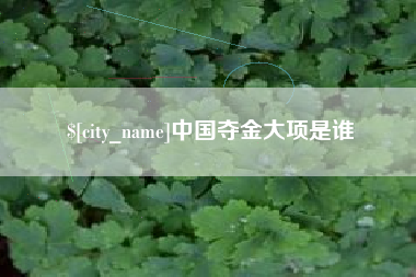 杭州中国夺金大项是谁