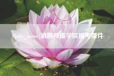 杭州消防救援学院报考条件