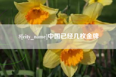 杭州中国已经几枚金牌