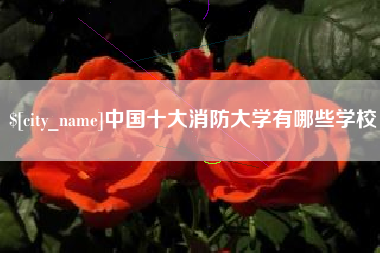 杭州中国十大消防大学有哪些学校
