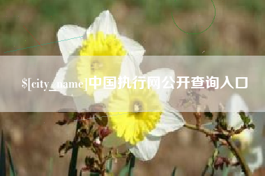 杭州中国执行网公开查询入口