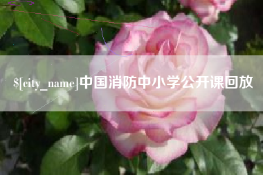 杭州中国消防中小学公开课回放