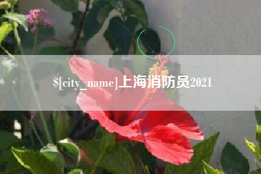 杭州上海消防员2021
