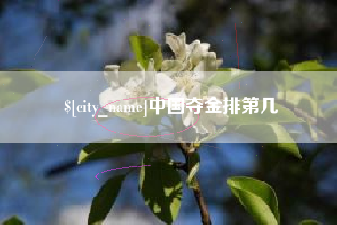 杭州中国夺金排第几