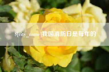 杭州我国消防日是每年的