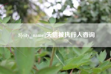 杭州失信被执行人杳询