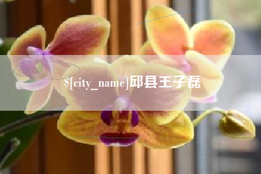 杭州邱县王子磊