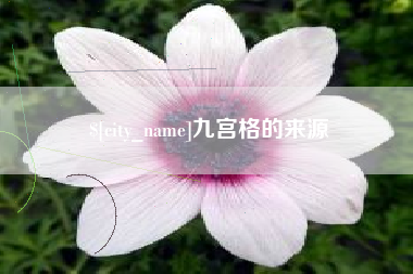 杭州九宫格的来源