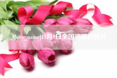 杭州11月9日全国消防日图片