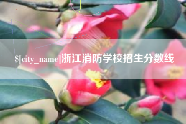 杭州浙江消防学校招生分数线