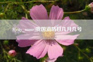 杭州我国消防日几月几号