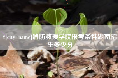 杭州消防救援学院报考条件湖南招生多少分