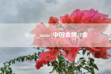 杭州中国金牌18金