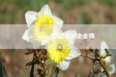 杭州奥运会39块金牌