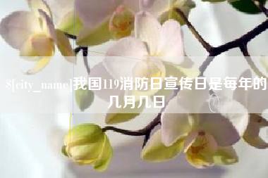 杭州我国119消防日宣传日是每年的几月几日