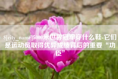 杭州5000米世界冠军穿什么鞋-它们是运动员取得优异成绩背后的重要“功臣”