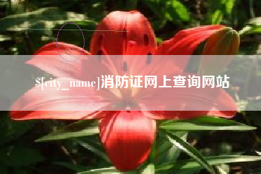 杭州消防证网上查询网站