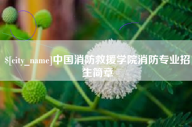杭州中国消防救援学院消防专业招生简章