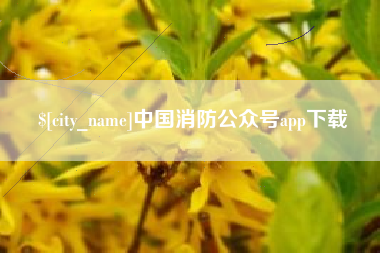 杭州中国消防公众号app下载