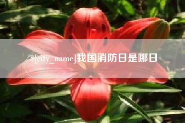 杭州我国消防日是哪日