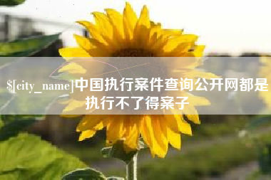 杭州中国执行案件查询公开网都是执行不了得案子