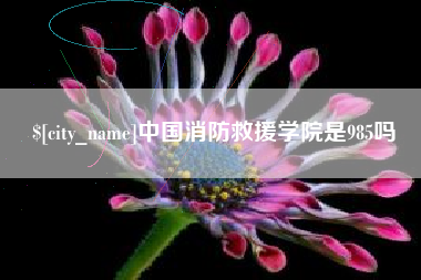 杭州中国消防救援学院是985吗