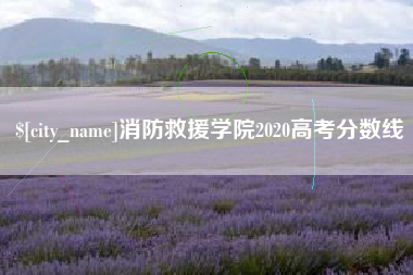 杭州消防救援学院2020高考分数线