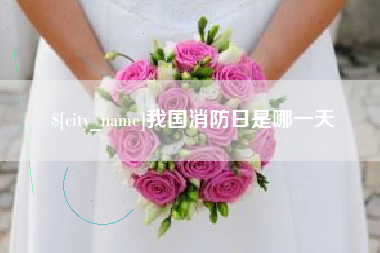 杭州我国消防日是哪一天