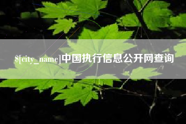 杭州中国执行信息公开网查询