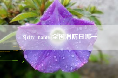杭州全国消防日哪一