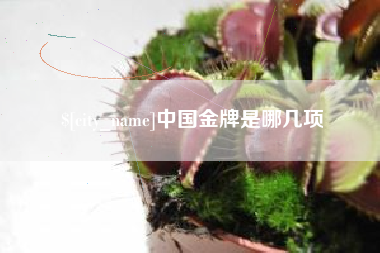 杭州中国金牌是哪几项
