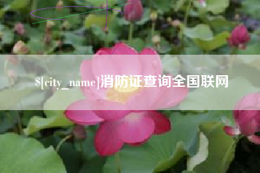 杭州消防证查询全国联网