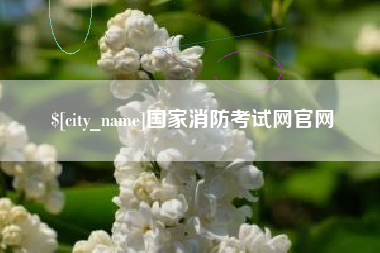 杭州国家消防考试网官网