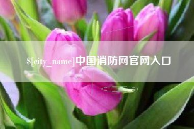 杭州中国消防网官网入口