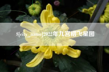 杭州2022年九宫格飞星图