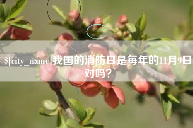 杭州我国的消防日是每年的11月9日对吗？
