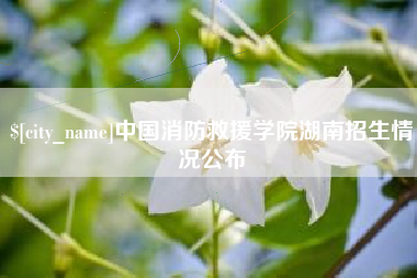 杭州中国消防救援学院湖南招生情况公布