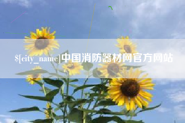 杭州中国消防器材网官方网站