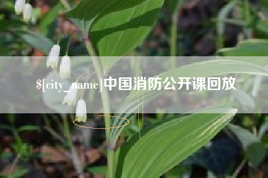 杭州中国消防公开课回放