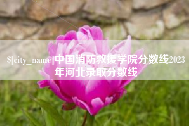 杭州中国消防救援学院分数线2023年河北录取分数线