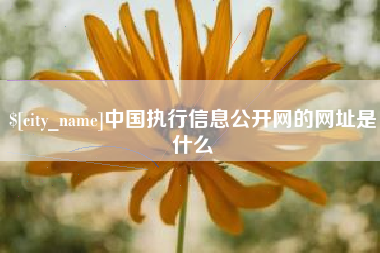 杭州中国执行信息公开网的网址是什么