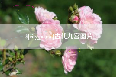杭州古代九宫图片