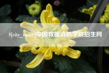 杭州中国救援消防学院招生网